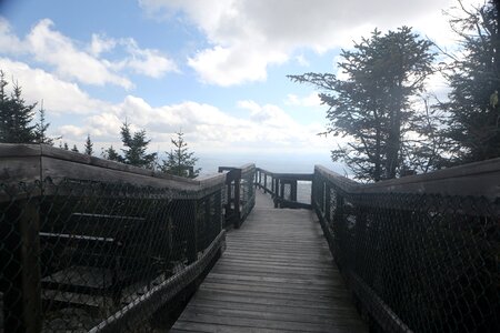 Bridge nature trek photo