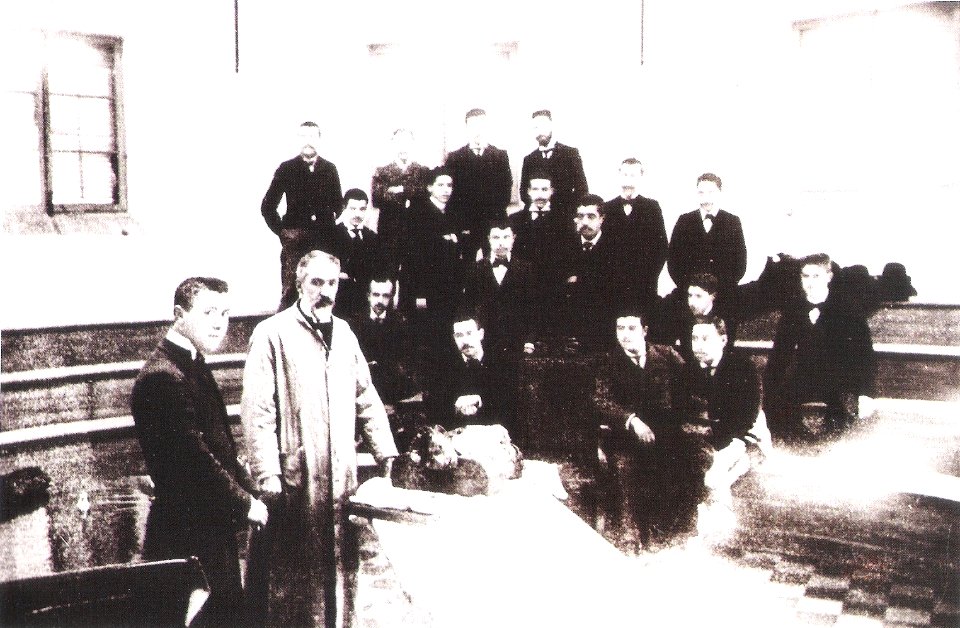Clase de Disección