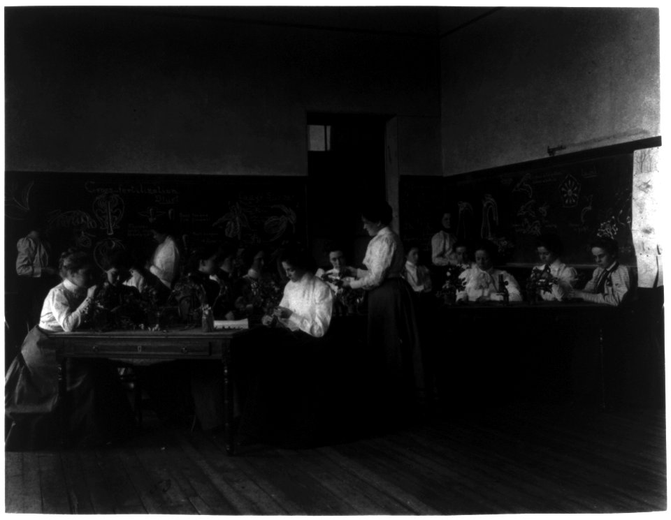 Classroom scene - ladies' floriculture class, Normal School, Washington, D.C. LCCN2001703653