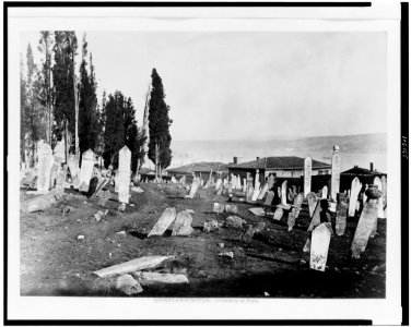 Constantinople. Cemetery of Pera LCCN92513543