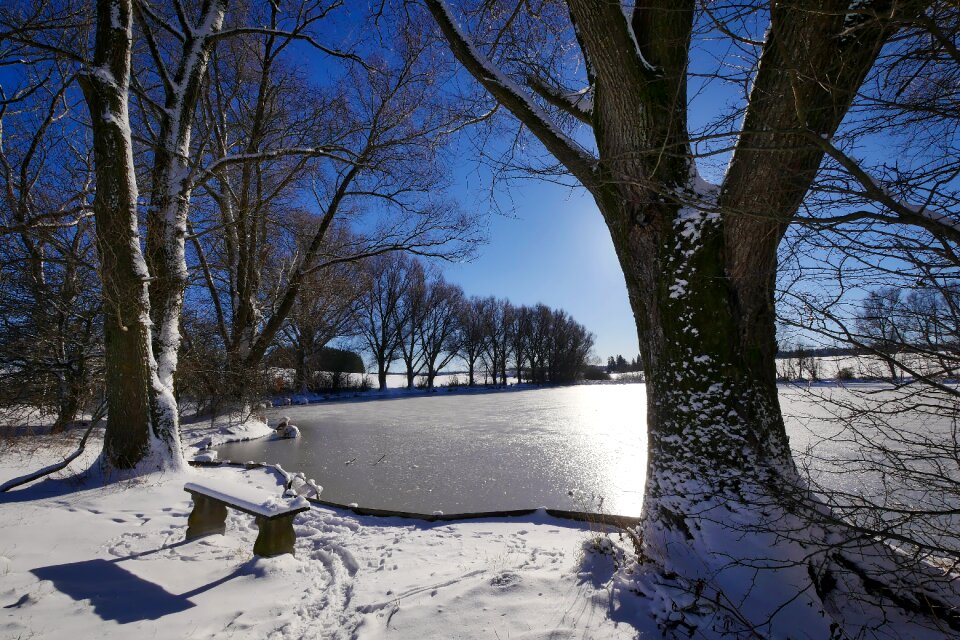 Season wood landscape