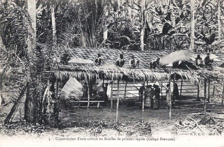 Construction d'une toiture en feuilles de palmier raphia (Congo Français) photo