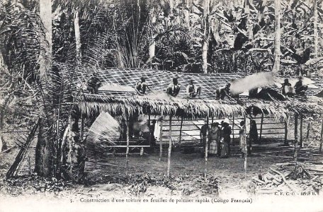 Construction d'une toiture en feuilles de palmier raphia (Congo Français)