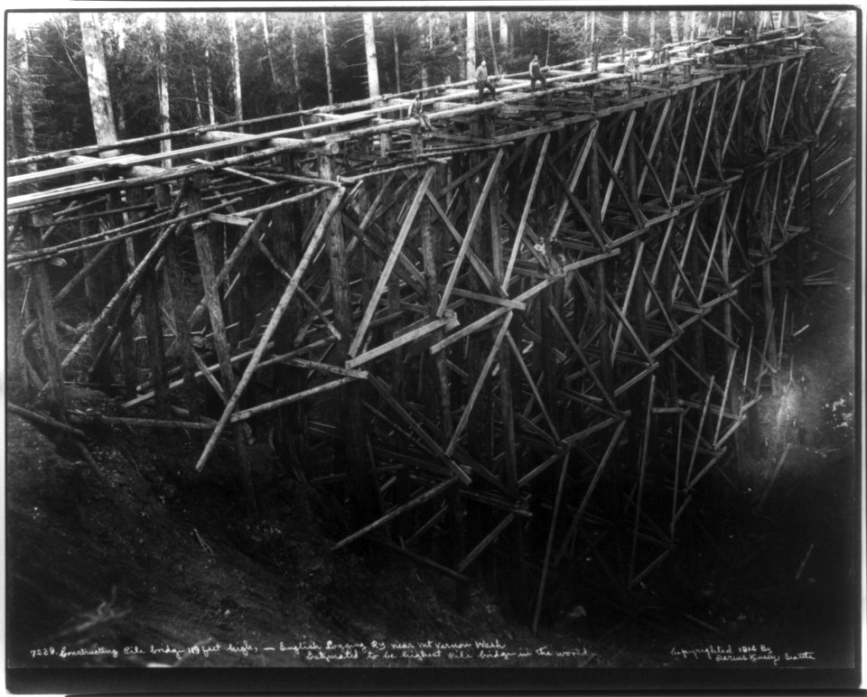 Constructing pile bridge, 119 feet high, English Loggin Railway, near Mt. Vernon, Wash. Estimated to be highest pile bridge in the world LCCN2005685071