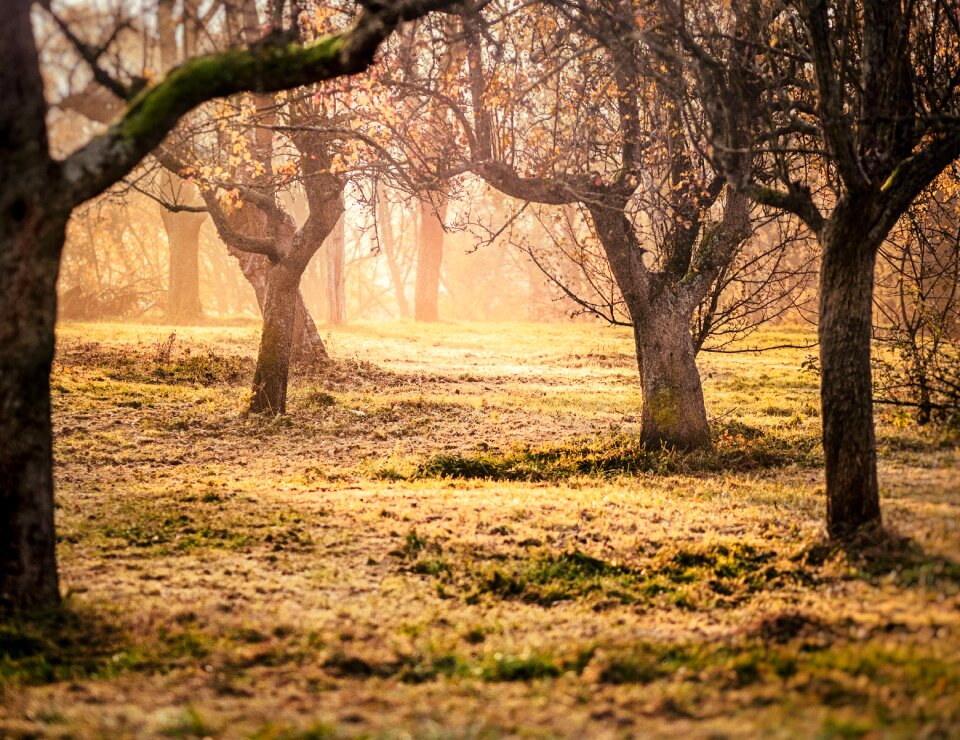 Morning sun mood morning