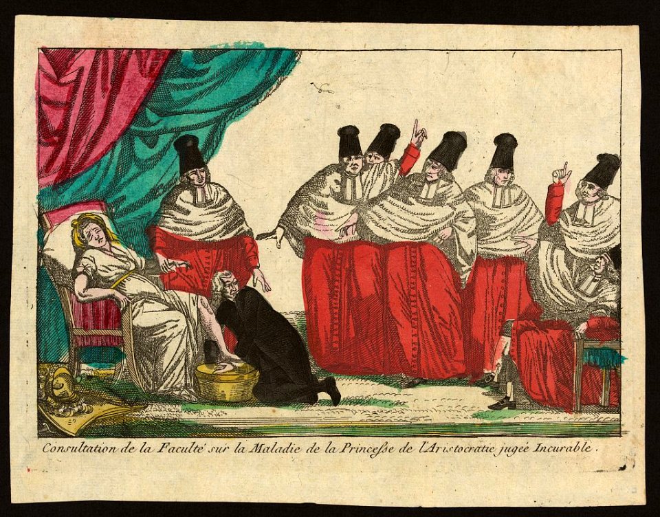 Consultation de la faculté sur la maladie de la princesse de l'aristocratie jugée incurable LCCN2007685763
