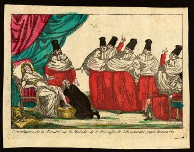 Consultation de la faculté sur la maladie de la princesse de l'aristocratie jugée incurable LCCN2007685763