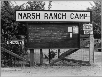 Contra Costa County, California. Entrance to labor camp, on large-scale fruit ranch. - NARA - 521717