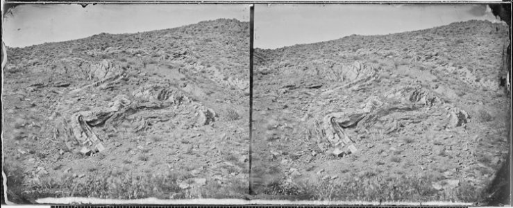 Contorted Rock Strata, West Humboldt Mountains^ - NARA - 519587