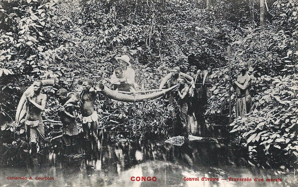 Convoi d'ivoire-Congo