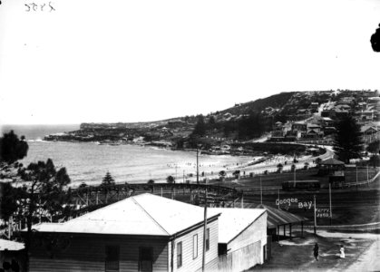 Coogee Bay from The Powerhouse Museum