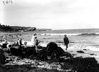 Coogee Beach from The Powerhouse Museum