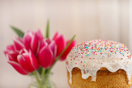 Religion symbol tulip