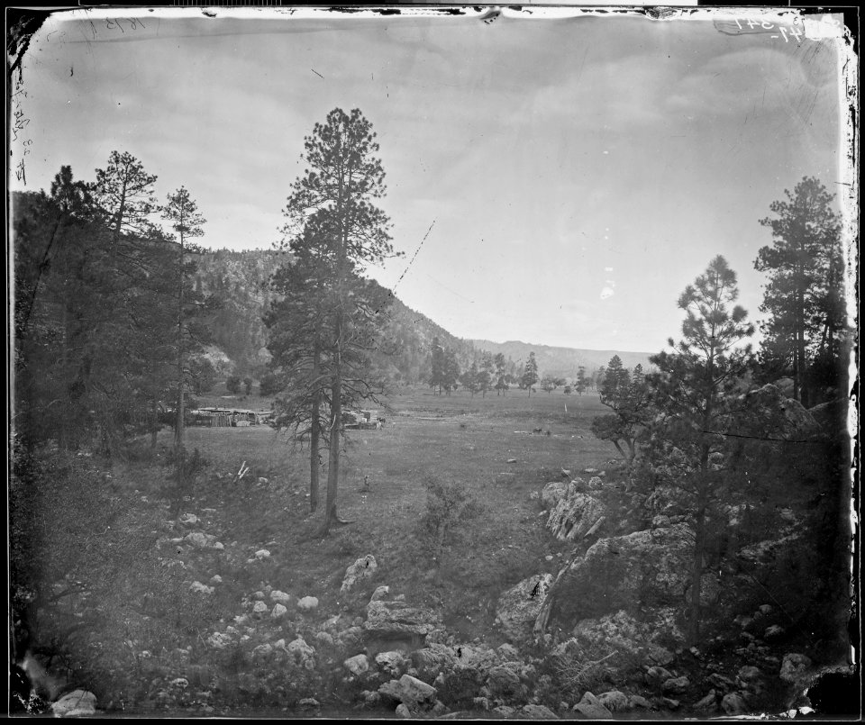 COOLEY'S PARK SIERRA BLANCA RANGE, ARIZONA - NARA - 524298