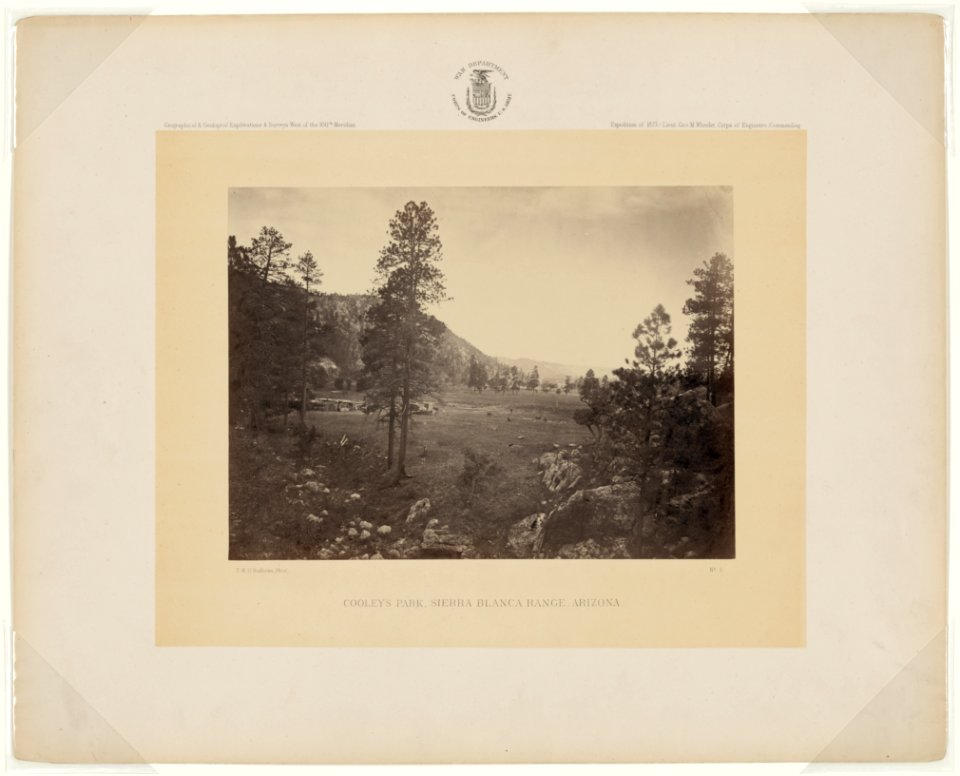 Cooley's Park, Sierra Blanca Range, Arizona - T. H. O'Sullivan, phot. LCCN2007684818