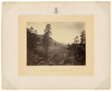Cooley's Park, Sierra Blanca Range, Arizona - T. H. O'Sullivan, phot. LCCN2007684818