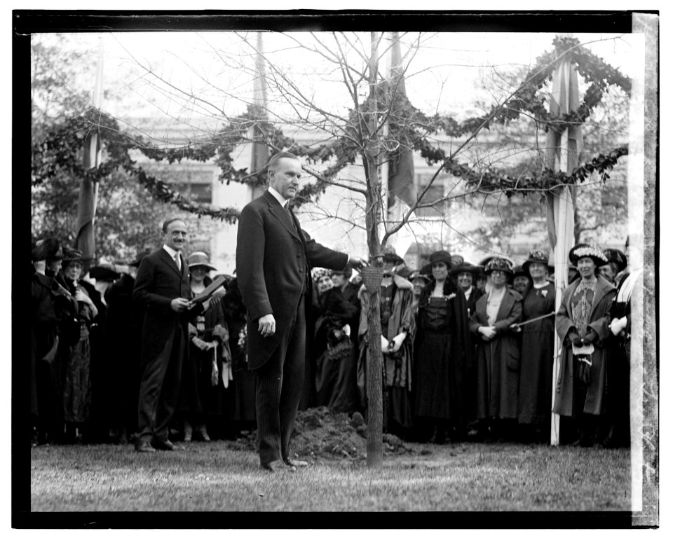 Coolidge at International Tree Planting LOC npcc.06169
