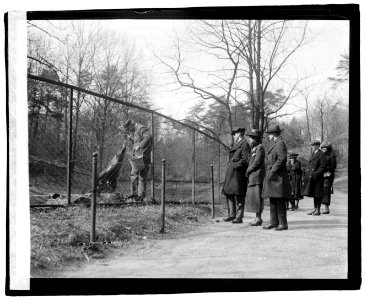 Coolidge boys & Mrs. Coolidge at Zoo LOC npcc.05928 photo