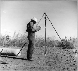 Coolidge, Arizona. Weighmaster keeps his books at the cotton scales. - NARA - 522046 photo