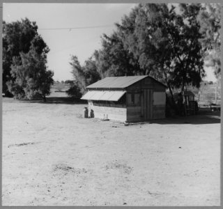 Coolidge, Maricopa County, Arizona. Within six-tenths of a mile run on the Eastern edge of this town . . . - NARA - 522179