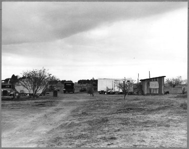 Coolidge, Maricopa County, Arizona. Within six-tenths of a mile run on the Eastern edge of this town . . . - NARA - 522184