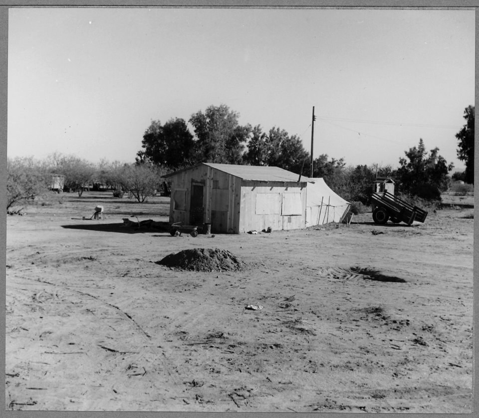 Coolidge, Maricopa County, Arizona. Within six-tenths of a mile run on the Eastern edge of this town . . . - NARA - 522196