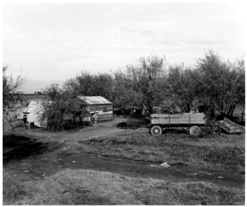 Coolidge, Maricopa County, Arizona. Within six-tenths of a mile run on the Eastern edge of this town . . . - NARA - 522481