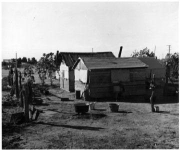 Coolidge, Maricopa County, Arizona. Within six-tenths of a mile run on the Eastern edge of this town . . . - NARA - 522482