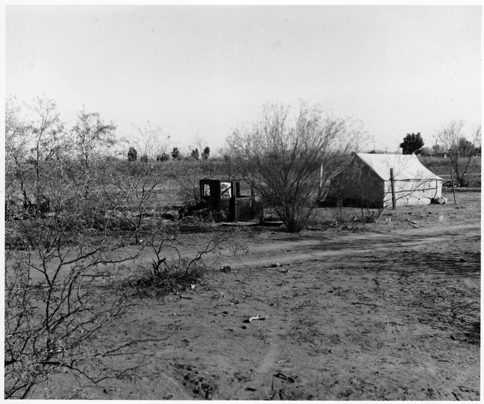 Coolidge, Maricopa County, Arizona. Within six-tenths of a mile run on the Eastern edge of this town . . . - NARA - 522483