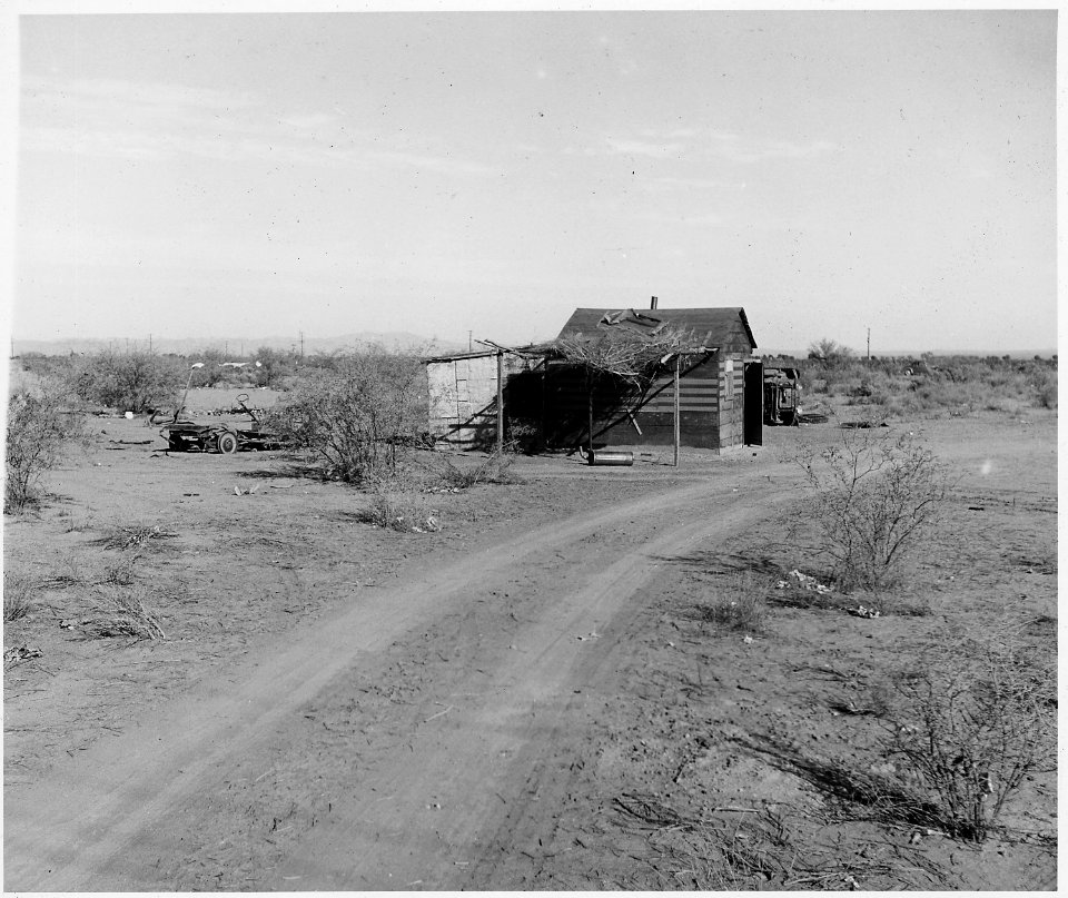 Coolidge, Maricopa County, Arizona. Within six-tenths of a mile run on the Eastern edge of this town . . . - NARA - 522484