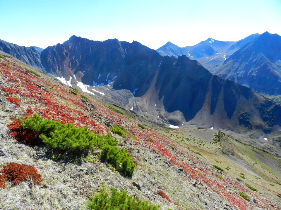 Lava lake forest photo