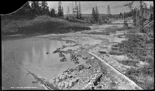 Coral Spring, Shoshone basin. Yellowstone National Park - NARA - 517220