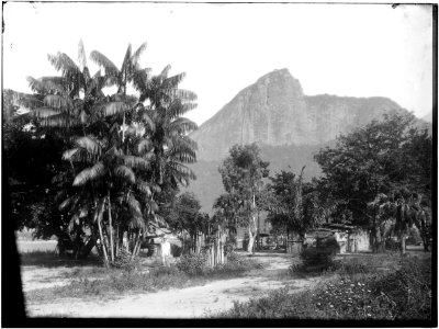Corcovado a partir do Jardim Botânico