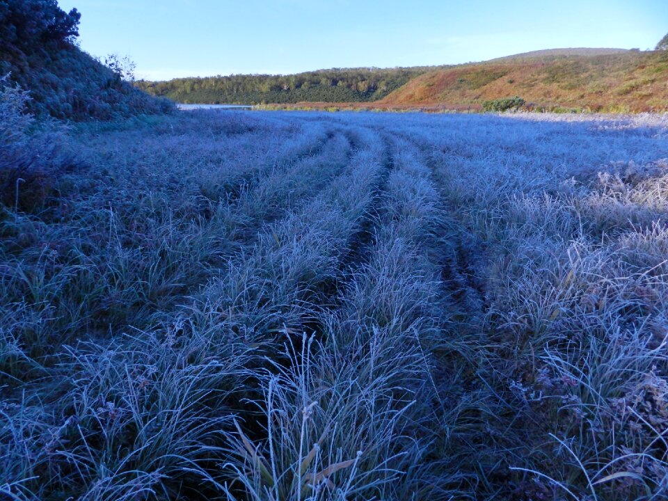 Cold frost early morning