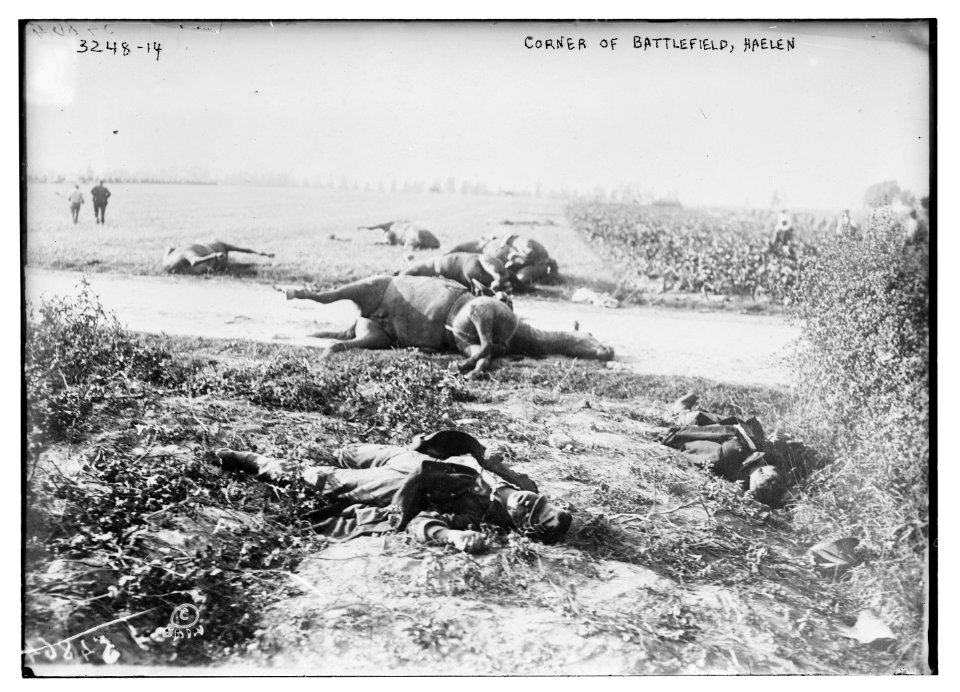 Corner of battlefield, Haelen LCCN2014697630