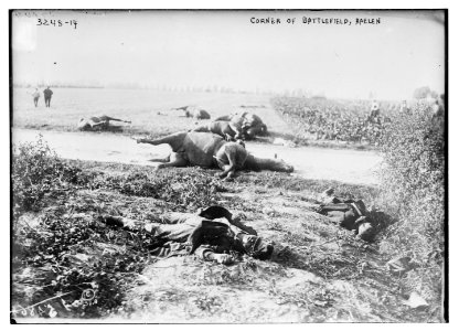 Corner of battlefield, Haelen LCCN2014697630