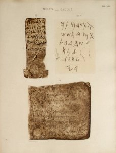 Corpus Inscriptionum Semiticarum CIS I 123, 132 (from Malta)