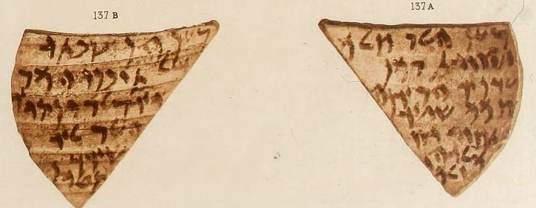 Corpus Inscriptionum Semiticarum CIS II 137 (cropped)