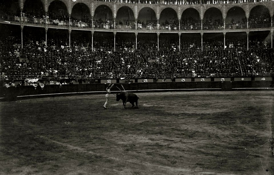 Corrida de toros en una plaza (17 de 61) - Fondo Car-Kutxa Fototeka