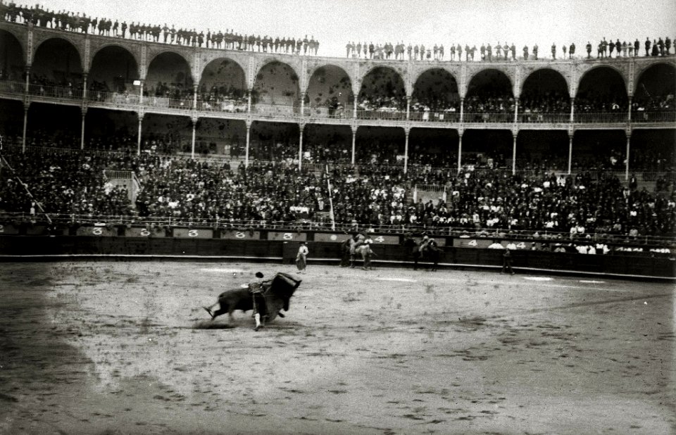 Corrida de toros en una plaza (20 de 61) - Fondo Car-Kutxa Fototeka