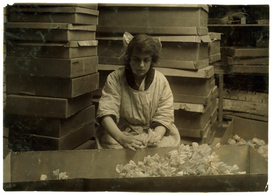 Corrinne Le May, 15 years old, bunching sweet peas at the Boston Floral Supply Co., 347-357 Cambridge Street. Said to be the only flower factory in Massachusetts. LOC nclc.05162