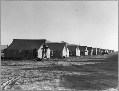 Cortaro Farms, Pinal County, Arizona. Quarters for Negro cotton pickers on industrialized cotton far . . . - NARA - 522185