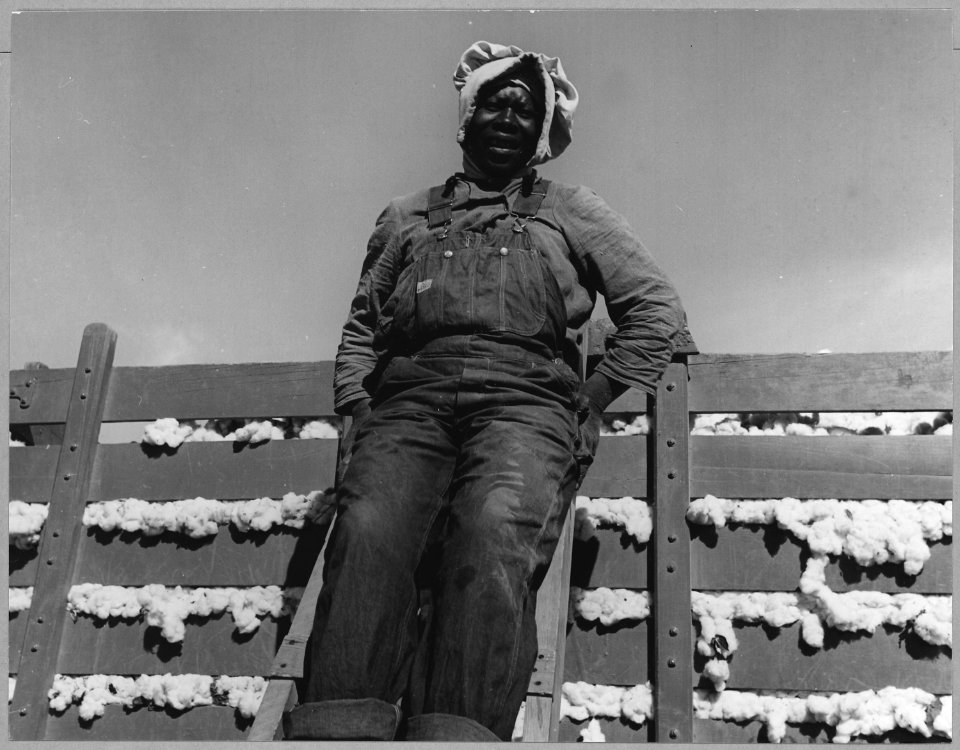 Cortaro Farms, Pinal County, Arizona. Migratory cotton picker on Cortaro Farms. - NARA - 522194