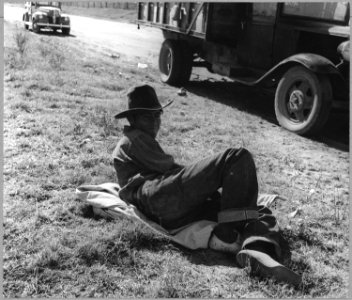 Cortaro Farms, Pinal County, Arizona. Lunch hour. This Mexican cotton picker, a day-worker, is haule . . . - NARA - 522202