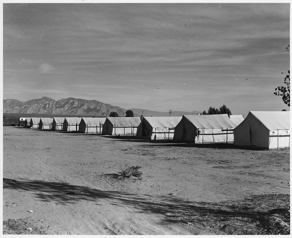 Cortaro Farms, Pinal County, Arizona. Quarters for Negro cotton pickers on industrialized cotton far . . . - NARA - 522499