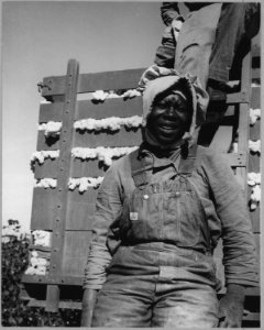 Cortaro Farms, Pinal County, Arizona. Migratory cotton picker on Cortaro Farms. - NARA - 522199