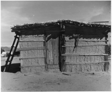 Cortaro Farms, Pinal County, Arizona. Yaqui Indian Jacal. On highly industrialized corporation far . . . - NARA - 522502
