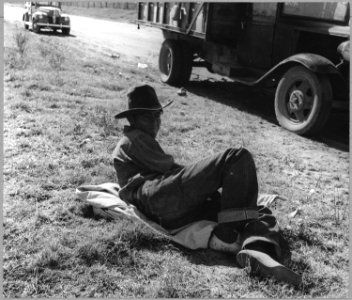 Cortaro Farms, Pinal County, Arizona. Lunch hour. This Mexican cotton picker, a day-worker, is haule . . . - NARA - 522202