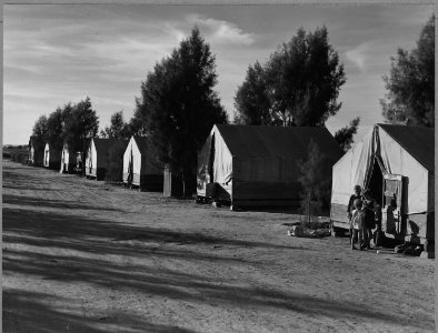 Cortaro Farms, Pinal County, Arizona. Quarters for white cotton pickers on industrialized cotton far . . . - NARA - 522186