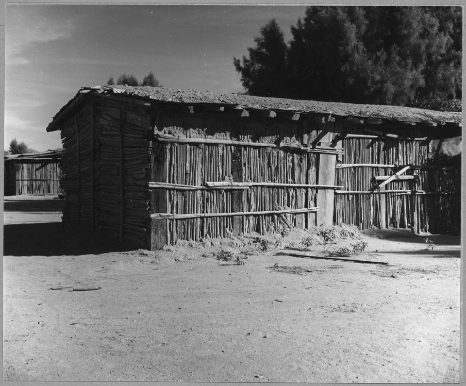 Cortaro Farms, Pinal County, Arizona. Yaqui Indian Jacal. On highly industrialized corporation far . . . - NARA - 522189